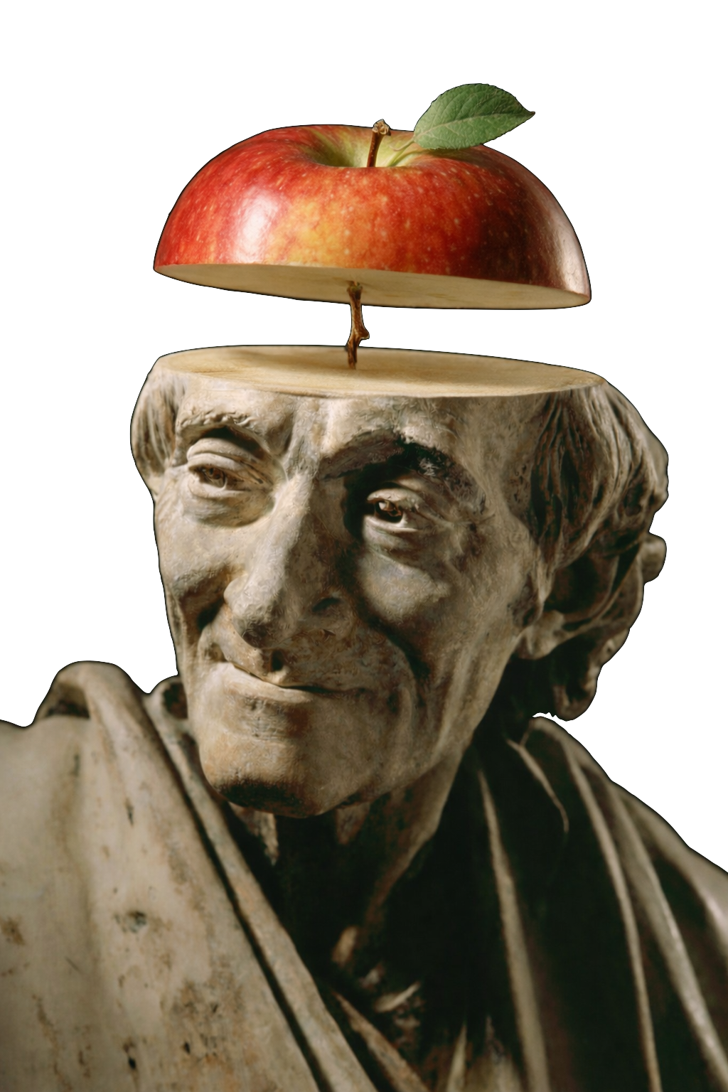 After Voltaire Seated by Jean-Antoine Houdon Bust of Voltaire with an apple atop an open cranium, after Voltaire Seated by Jean-Antoine Houdon